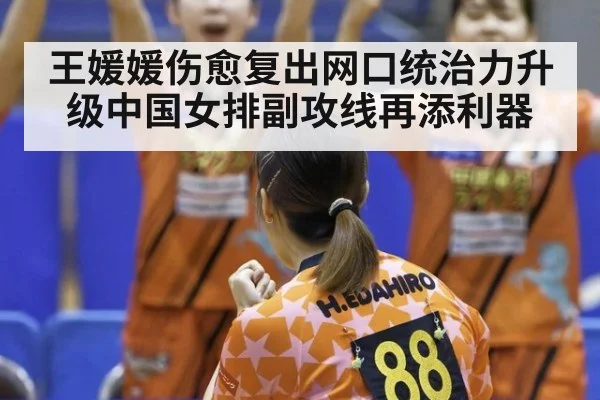 王媛媛伤愈复出网口统治力升级中国女排副攻线再添利器